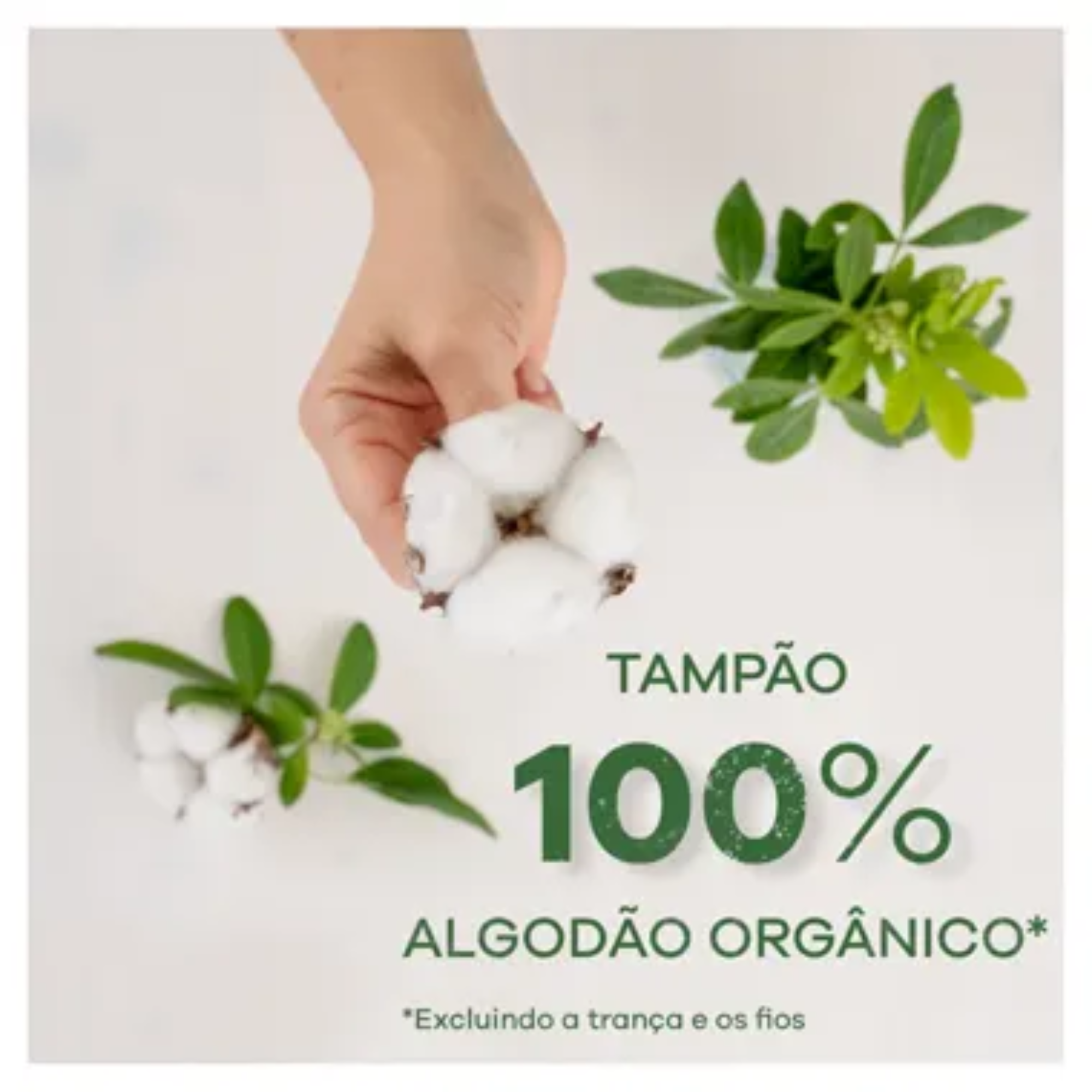 Tampões 100% Algodão orgânico super 16un TAMPAX