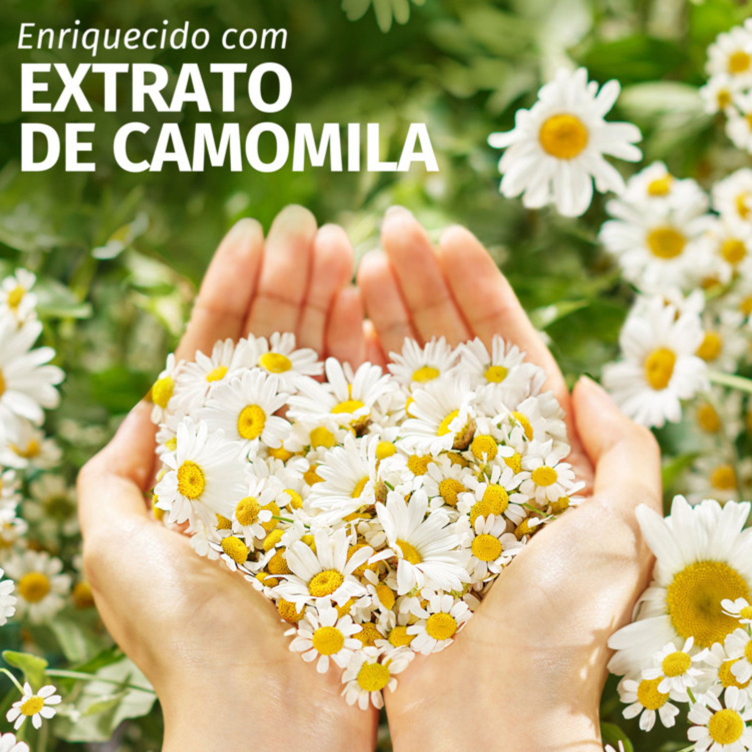 Condicionador herbal essences camomila 250ml